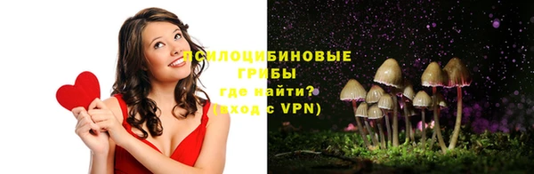 прущие крисы Карпинск