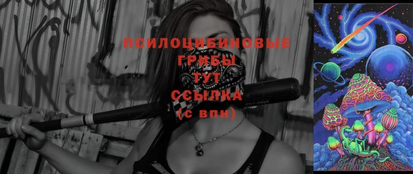 прущие крисы Карпинск