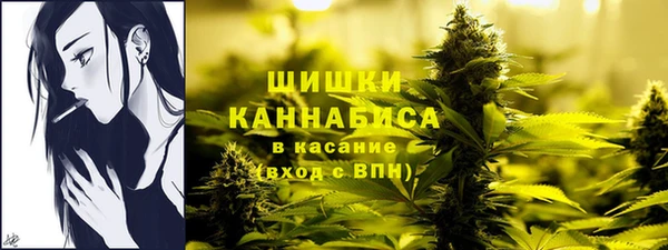 прущие крисы Карпинск